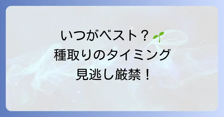 オキナワスズメウリの種取りに最適な時期を見極める