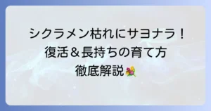 シクラメン寄せ植えが枯れる原因と復活方法！長持ちさせる育て方を徹底解説
