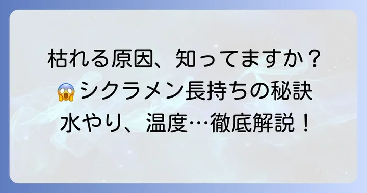 シクラメン寄せ植えが枯れてしまう主な原因