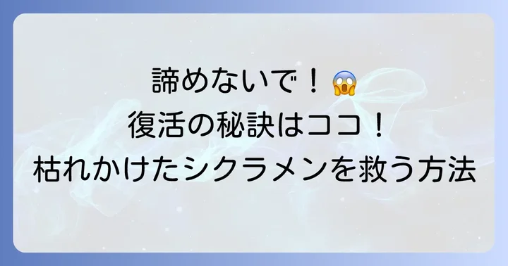 枯れ始めたシクラメン寄せ植えを復活させる方法