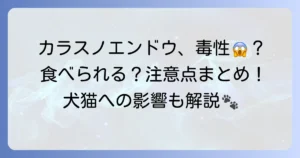 カラスノエンドウの毒性を徹底解説！食べられる部位と危険な注意点