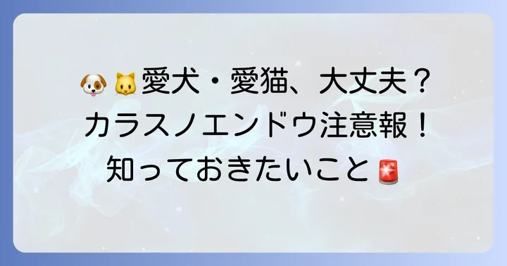 ペットへの影響は？犬や猫が食べた場合の注意点