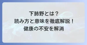 下肺野の読み方と意味を徹底解説！医療現場での重要性や関連疾患も網羅