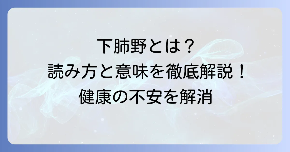 下肺野の読み方と意味を徹底解説！医療現場での重要性や関連疾患も網羅