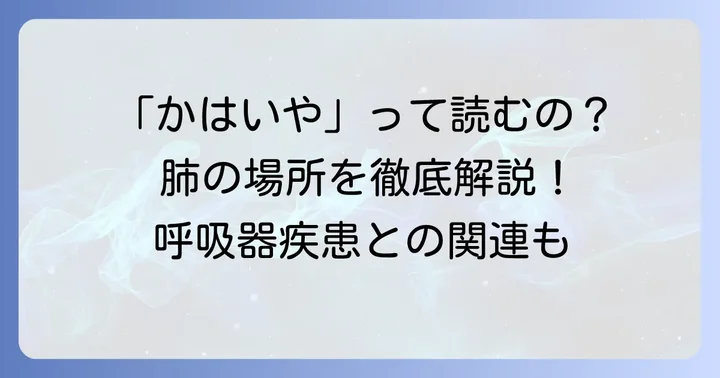 「下肺野」の正しい読み方と基本的な意味