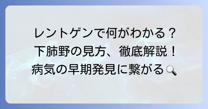 胸部X線やCT画像での下肺野の見方