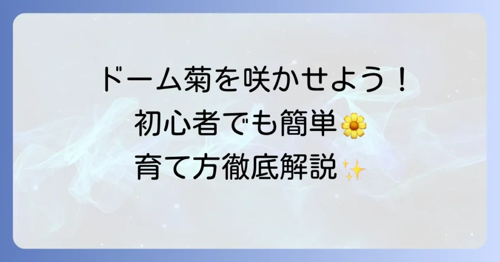 ドーム菊の育て方を徹底解説！初心者でも美しいドーム状に咲かせる方法