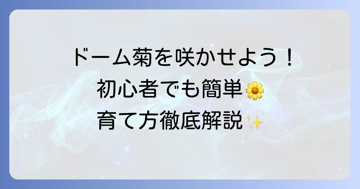 ドーム菊の育て方を徹底解説！初心者でも美しいドーム状に咲かせる方法
