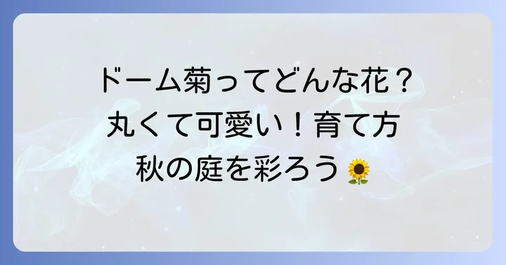 ドーム菊の魅力と基本的な特徴