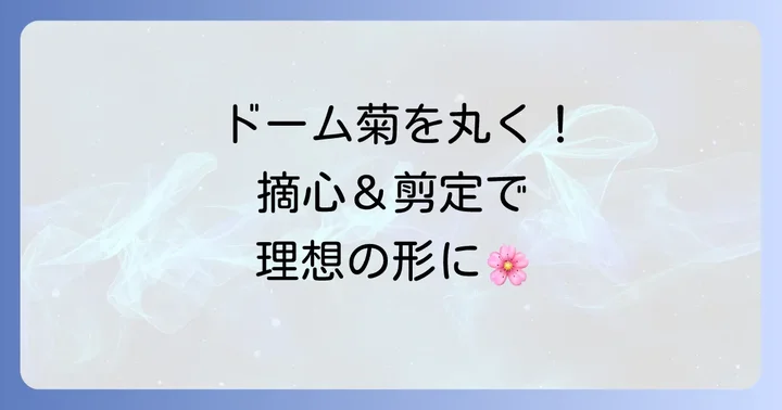 美しいドーム形を作るための摘心と剪定