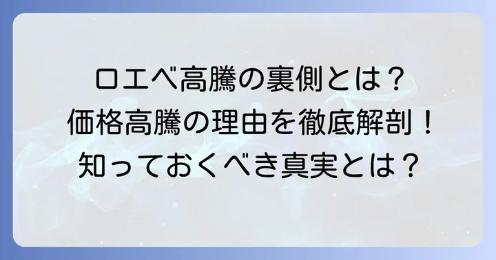 ロエベの価格が高騰した主な理由を深掘り
